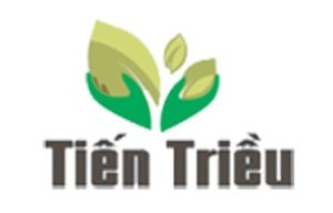 Tinh dầu tràm Huế Tiến Triều